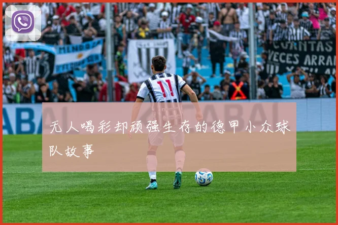 无人喝彩却顽强生存的德甲小众球队故事