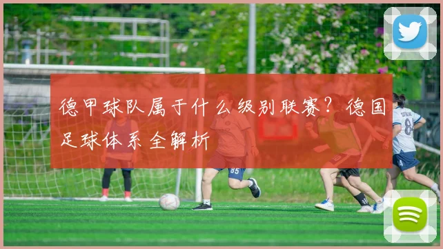 德甲球队属于什么级别联赛？德国足球体系全解析