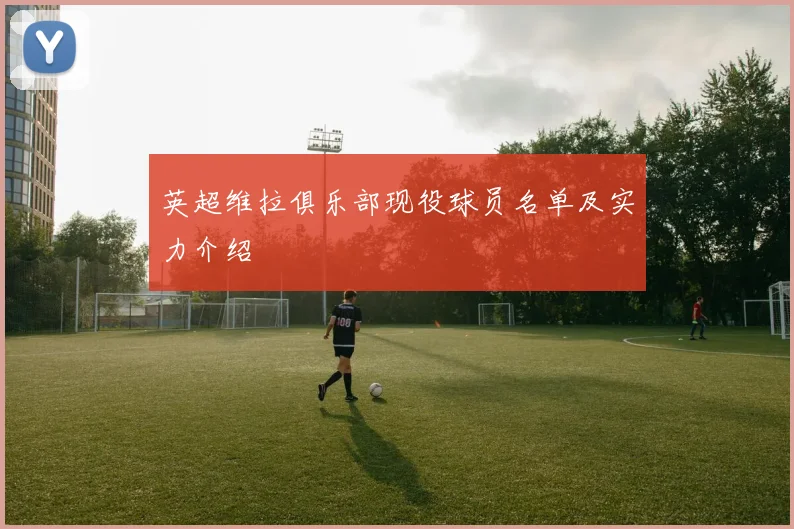 英超维拉俱乐部现役球员名单及实力介绍